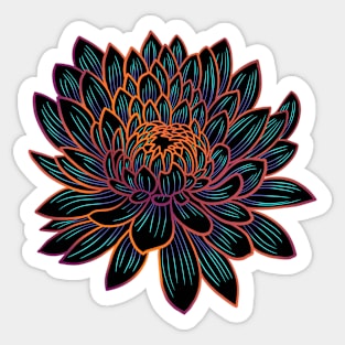 Colorful chrysanthemum flower drawing - faded orange with green Sticker